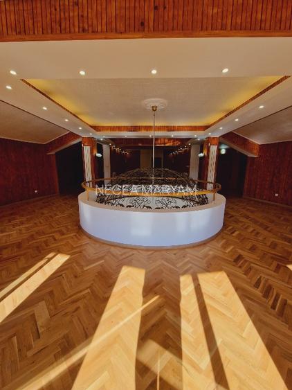 VANZARE VILA + TEREN + HALA IN VLADICEASCA (SNAGOV) - 11