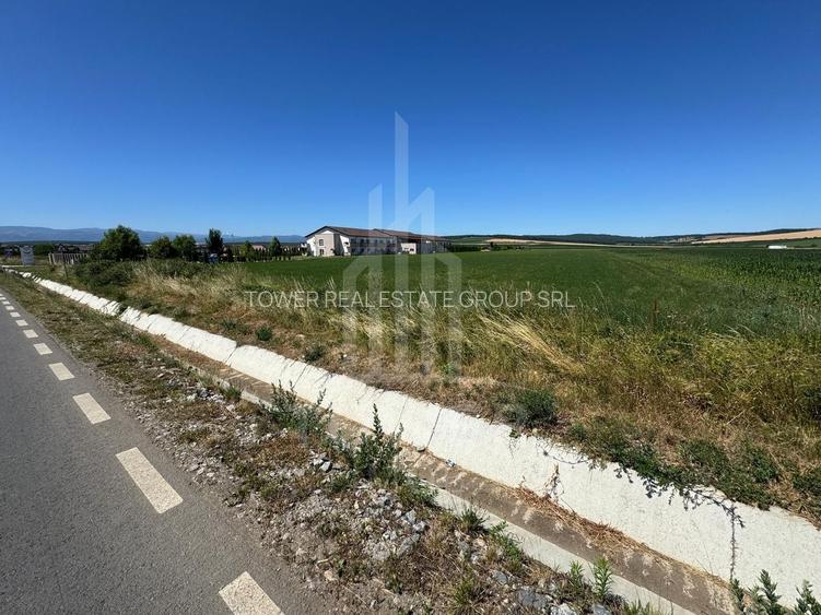 🌿 Teren 10.000 mp, Șura Mică – Ocna Sibiului | Investiție, COMISION 0% - 6