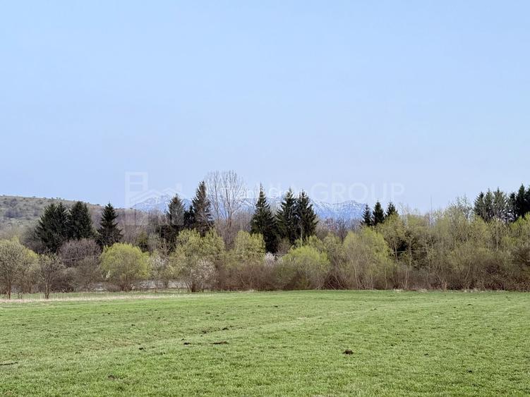 Teren intravilan, 7838 mp, cu priveliște superbă spre munți – Zărnești - 6