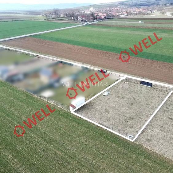 Teren intravilan de vânzare în Angheluș! - 6