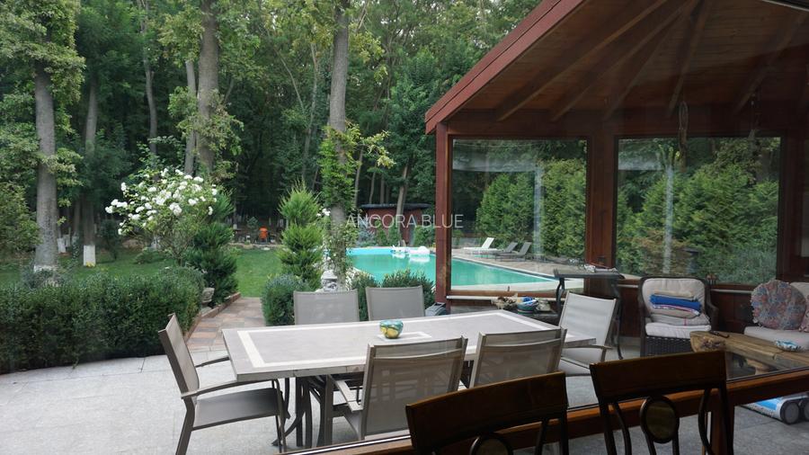 Vila superba in Padurea Baneasa, curte 5000 mp, piscina exterioara - 3