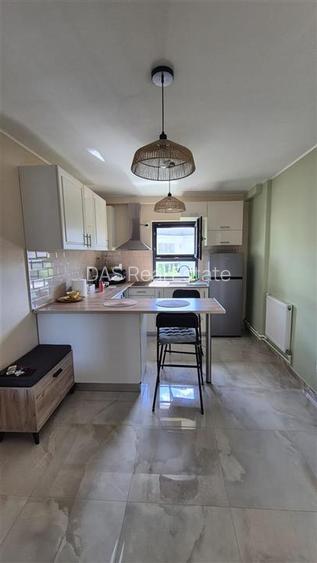 Studio Aviatiei | Herastrau | 41 mp - 3