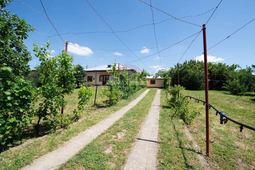 Casa de vanzare teren 2000mp si spatii comerciale Galbinasi Calarasi - 15