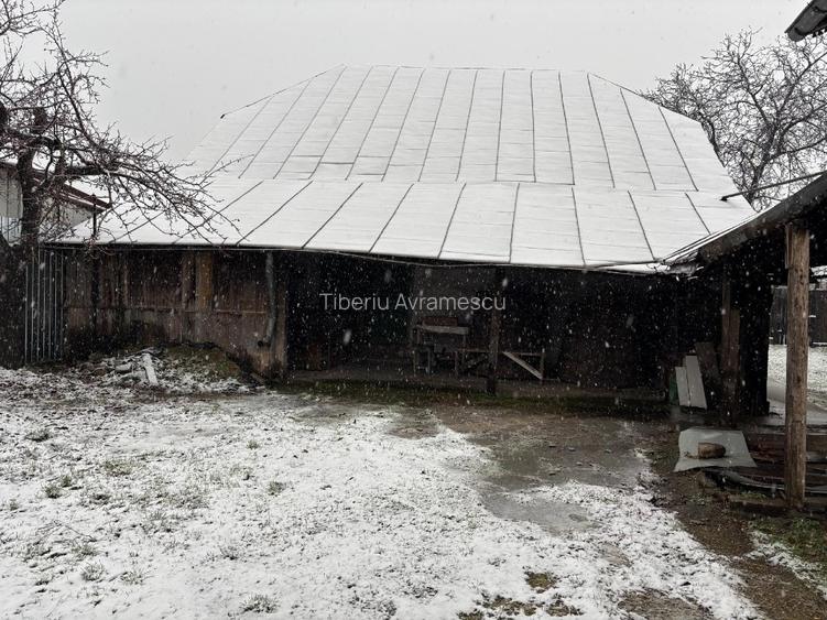 Vand gospodarie taraneasca traditionala - 11