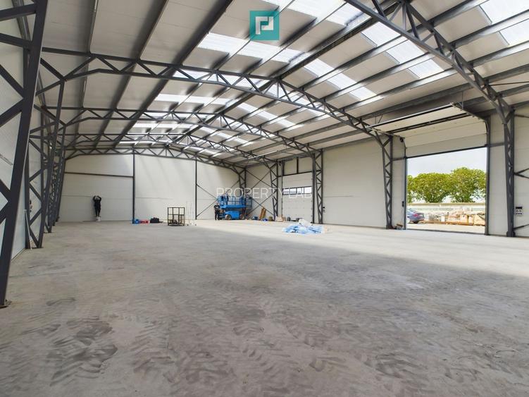 Hală nouă în zona industrială Giarmata - 3
