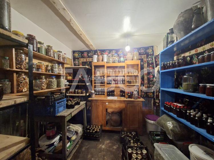 Spatiu de vanzare in Valea Macesului judel Valcea iesire la Lotru - 20