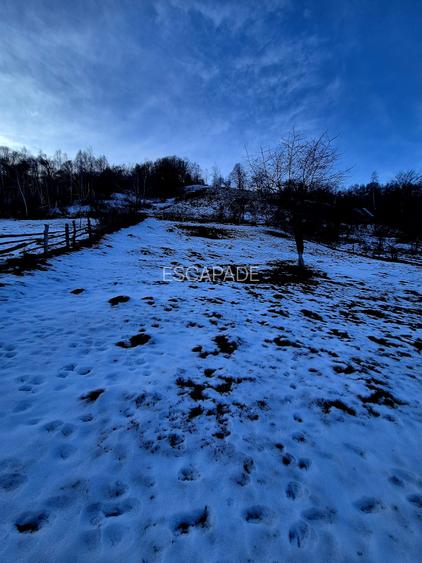 Teren intravilan Simon/Bran, 4318 mp , casuta intabulata, utilitati - 17