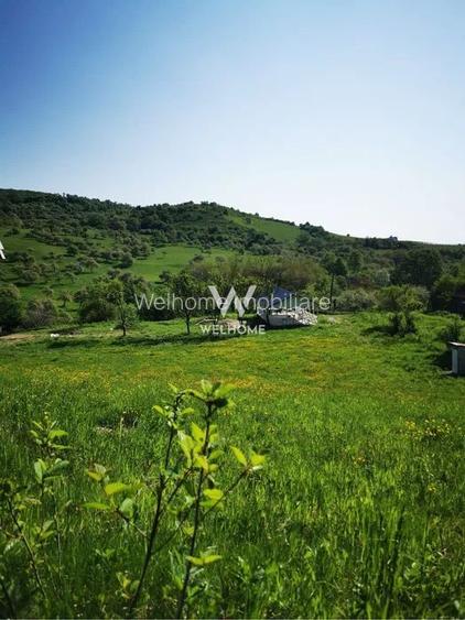 Teren cu cabane A-Frame și priveliște către Munții Făgăraș - 2