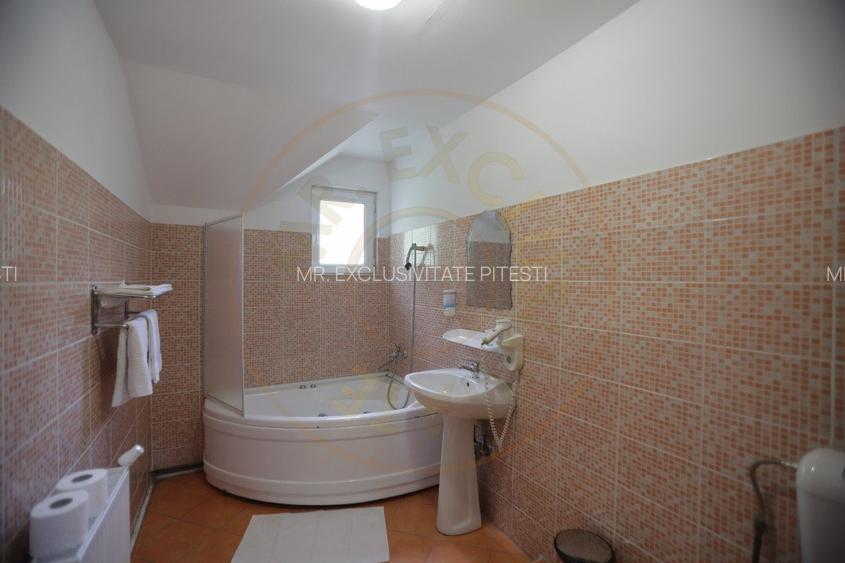 Pensiune in zona de munte-Baia de Fier - 11