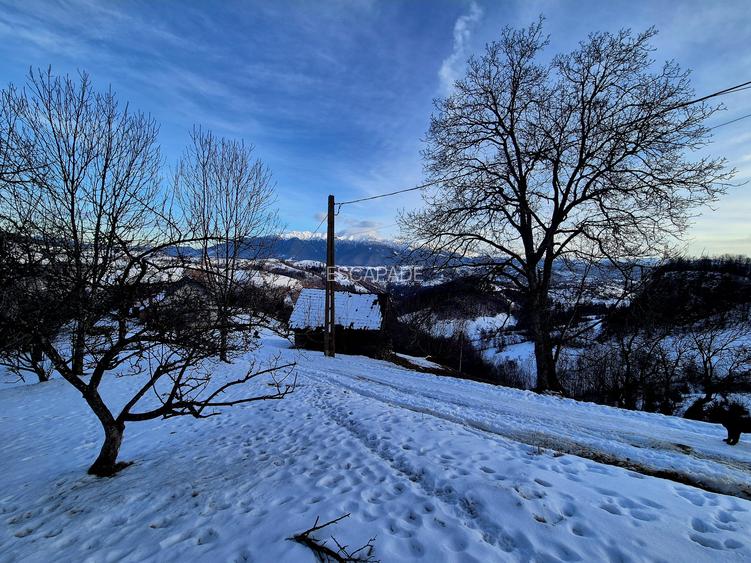 Teren intravilan Simon/Bran, 4318 mp , casuta intabulata, utilitati - 12