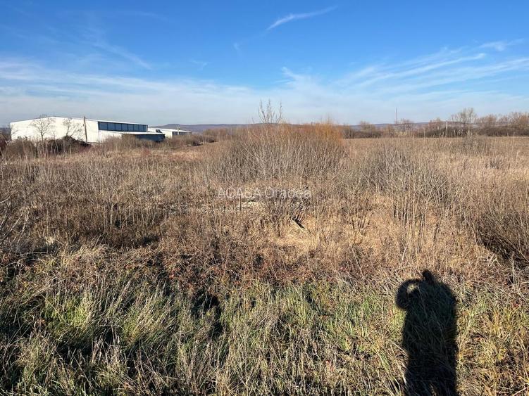 Teren intravilan, Săcădat, 27 921 mp. 9,5 Euro/mp. Comision 0. - 6