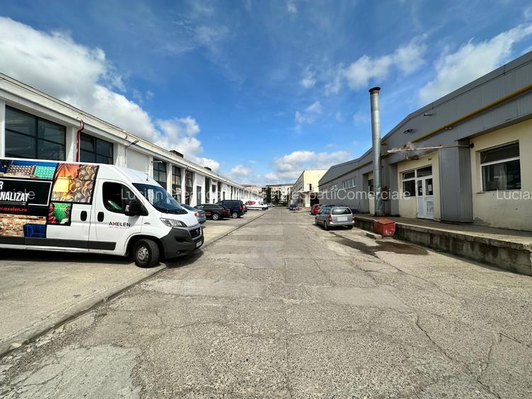 Hala/ showroom, 231mp, zona Carrefour Felicia, Kaufland - 9