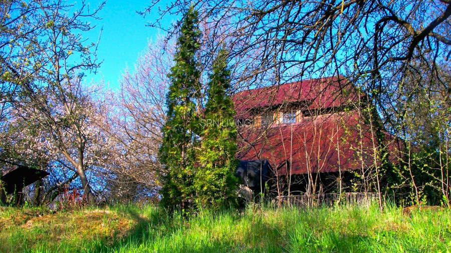 Domeniu exclusivist cu izvor propriu – Cheile Turzii / Munții Apuseni - 5