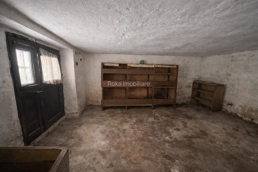 Proprietate cu potențial de reorganizare pe Str. Tudor Vladimirescu Drăgășani - 13