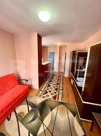Apartament cu o camera, 27,17 mp, Calea Turzii