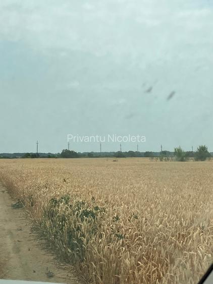 Teren intravilan agricol de vanzare - 4