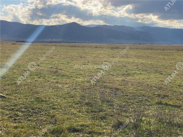 Teren de vanzare 584 mp in Sibiu pretabil investitie - 10