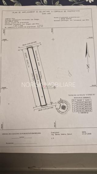 Teren extravilan | Tâncăbești | 5000mp - 4