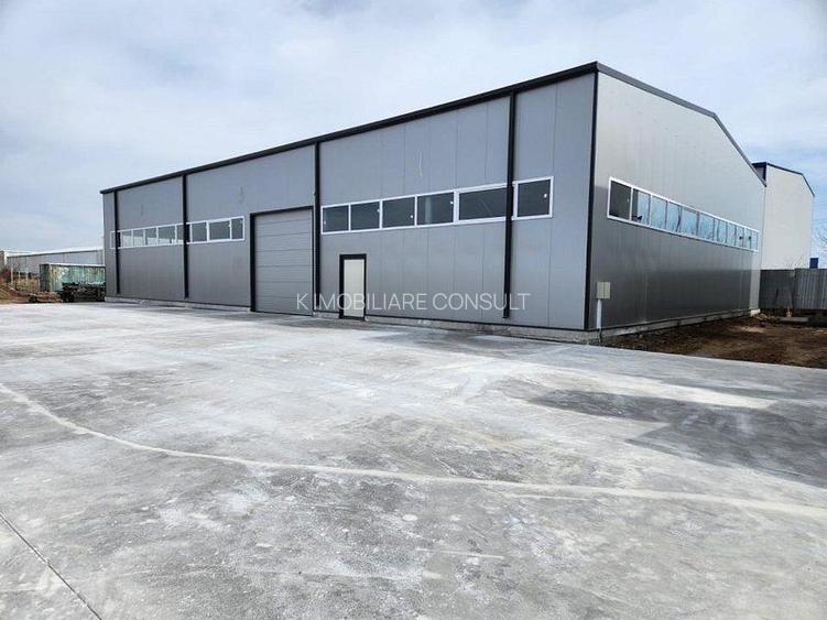 Pantelimon hala noua 500 mp - 3
