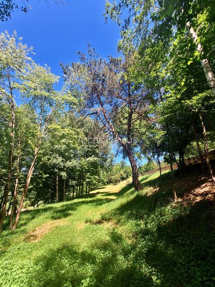 Teren intravilan de vânzare-3600 mp-str. Visinilor-Cisnadioara! - 5