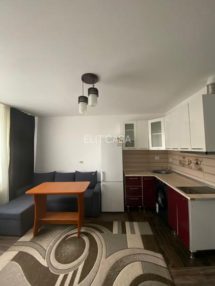 Apartament cu 2 camere, etajul 2/4, zona Podu Ros - 4