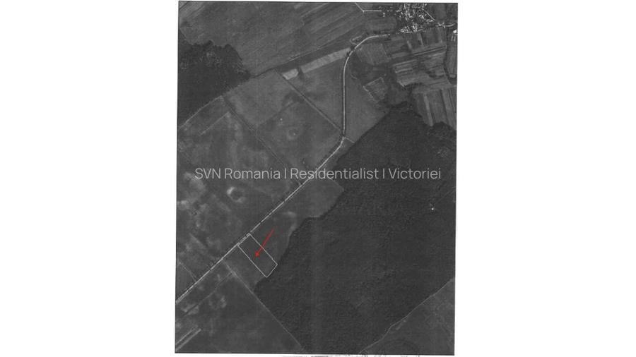 REL4001203 Oportunitate I Teren Intravilan 30.000 mp I Racari I Dambovita - 3