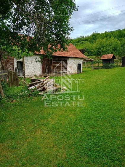 Casa batraneasca de vanzare, 4 camere, in Hunedoara, sat Micanesti - 28