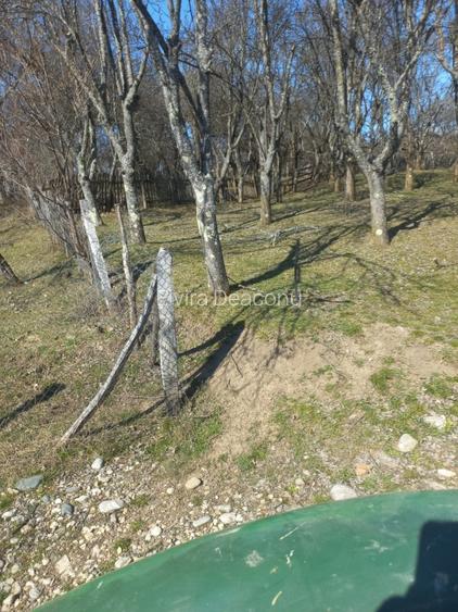 Vind teren intravilan in com .Corbi  sat Poinarei  jud.Arges, - 2