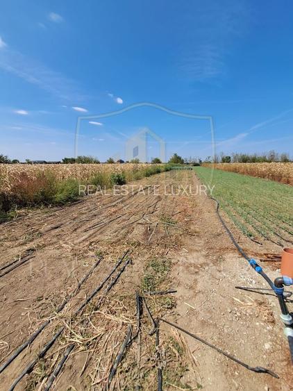 0% COMISION TEREN DE VÂNZARE DE 2470 MP CU POTENȚIAL DE INVESTIȚIE - 5