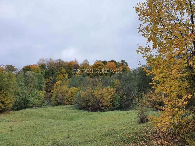 Puciosa Moreni Valea Lunga Sat Izvoru 20000mp teren de vanzare - 5