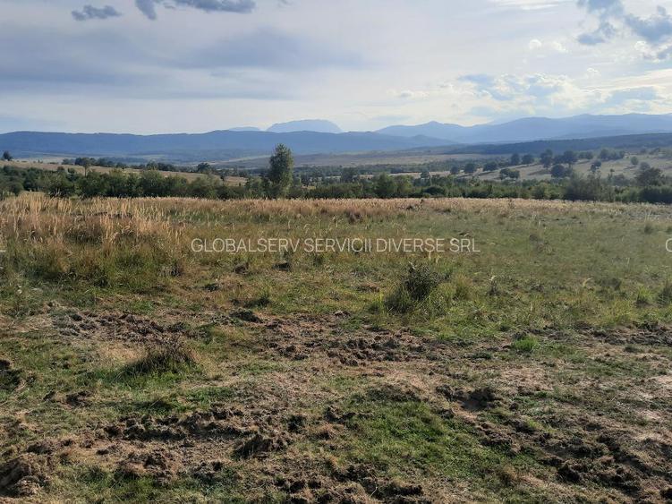 FARA COMISIOANE TEREN parcelabil 10756mp linga padure Comuna Dumbravita Brasov - 7