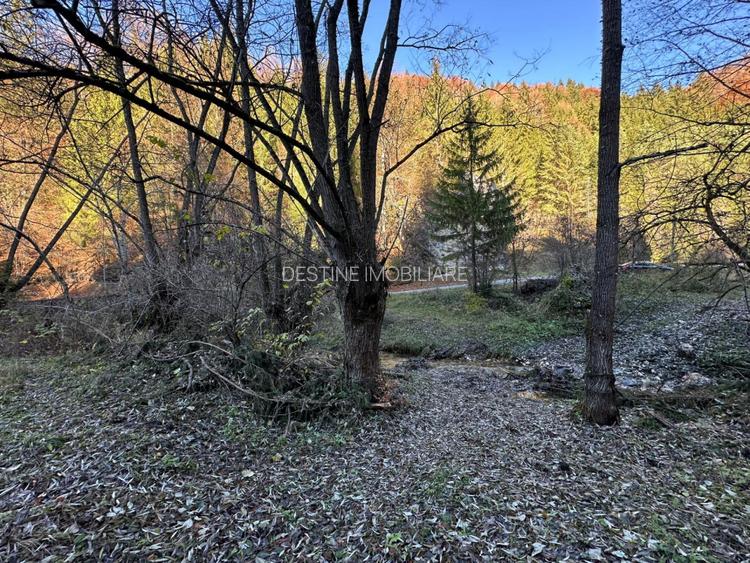 Teren 2.882 mp – oportunitate investitie - Cheile Dambovicioarei - 15