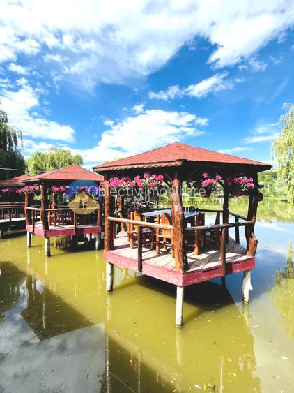 COMPLEX TURISTIC  comuna COSTISA - Afacere la cheie - 4