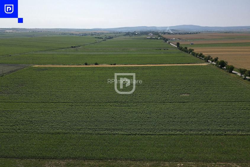 Teren - Orășeni Deal, Curtești | BOTOȘANI | 10.000mp - 3