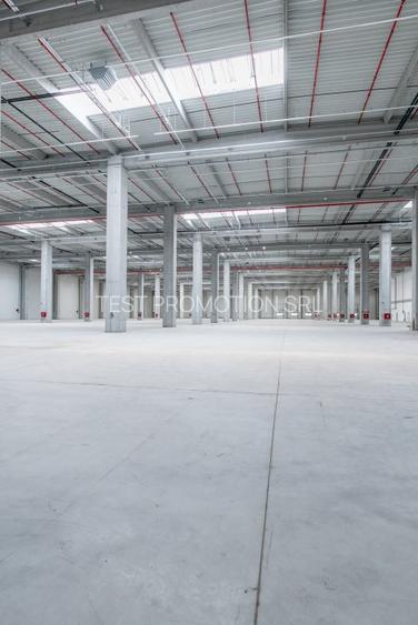 Spațiu industrial, 249500 mp în Chitila - 2