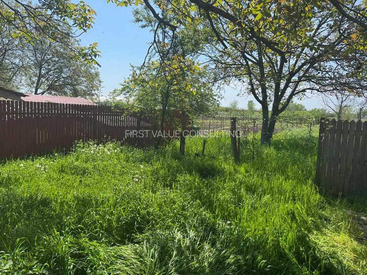 Casa veche si teren generos Bailesti - 5