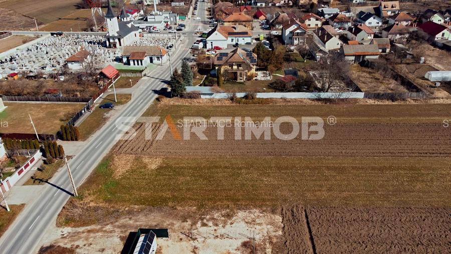 Teren intravilan cu PUZ str Albinelor Stupini - 12