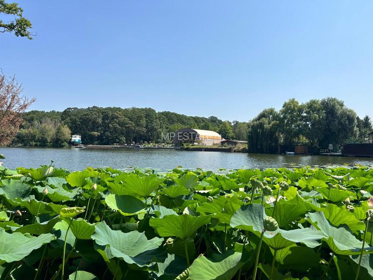 Teren de Vis pe malul lacului Snagov / 4000 mp in inima Naturii /40 m deschidere - 4