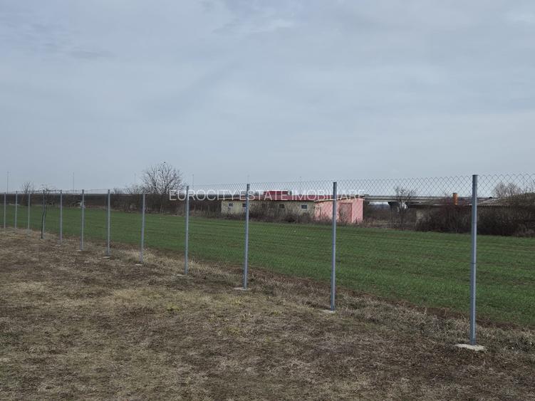 Caciulati, vanzare casa 3 camere la rosu, 1.000mp teren - 9