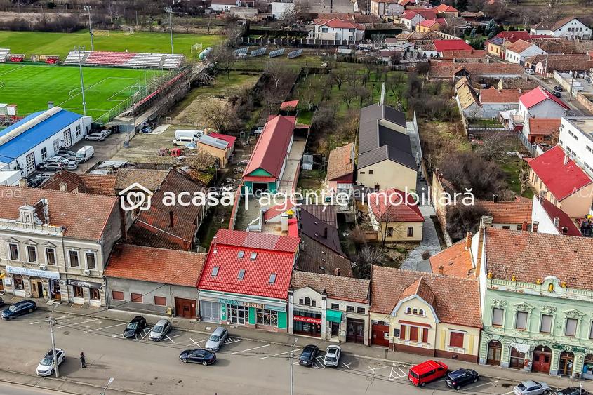 Spațiu comercial,  hala, si un penthouse în centrul Aradului Nou - 4