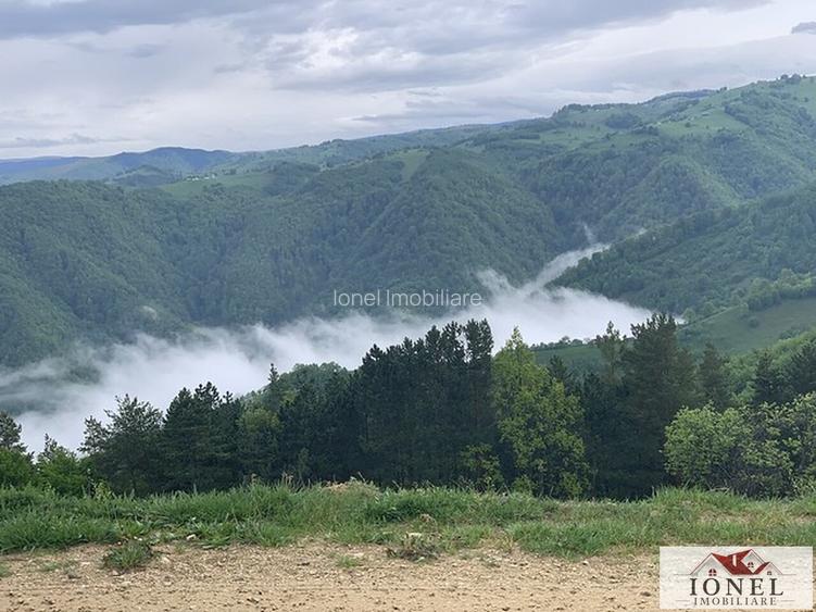Casa de vanzare in comuna Sasciori cu 84.843 mp teren - 10