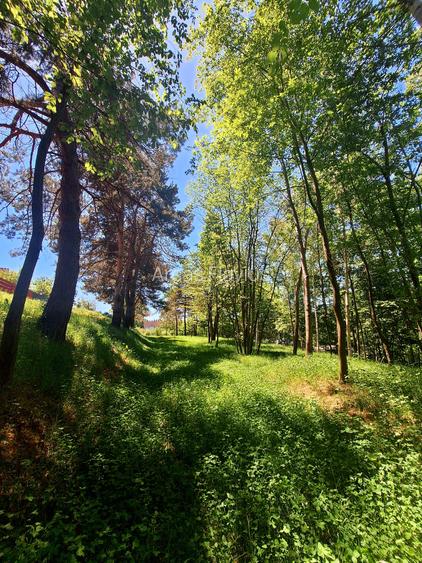 Teren intravilan de vânzare-3600 mp-str. Visinilor-Cisnadioara! - 2