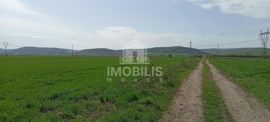 ‼️OPORTUNITATE DE INVESTIȚIE‼️ Teren Zona Ungheni | 44376 mp - 3