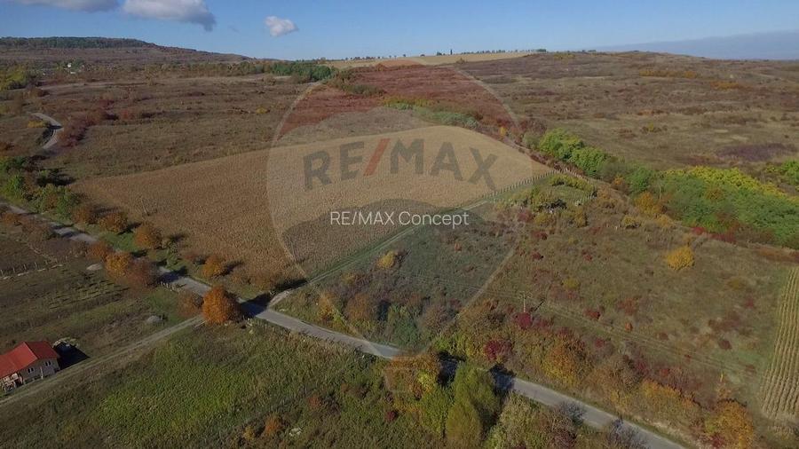 Teren Pădureni (Chinteni), intravilan, parcelabil - 6