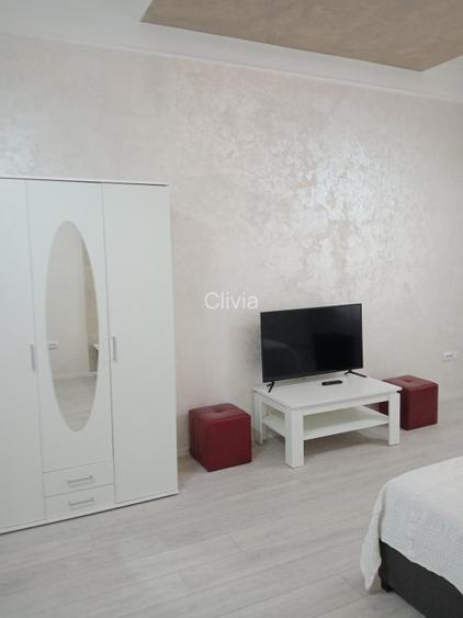 De inchiriat! Apartament cu o camera in Piata Victoriei! - 3