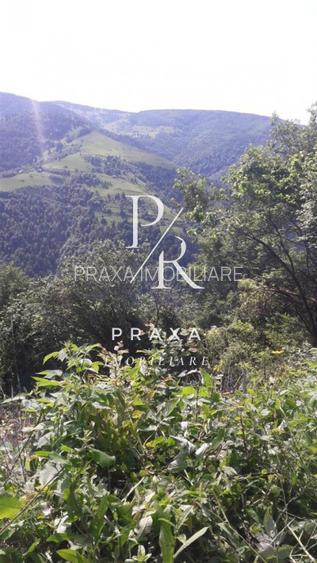 Teren de vanzare 10.000 mp/ parcelabil, cu utiitati, 4 euro/ mp! Maguri Racatau! - 12