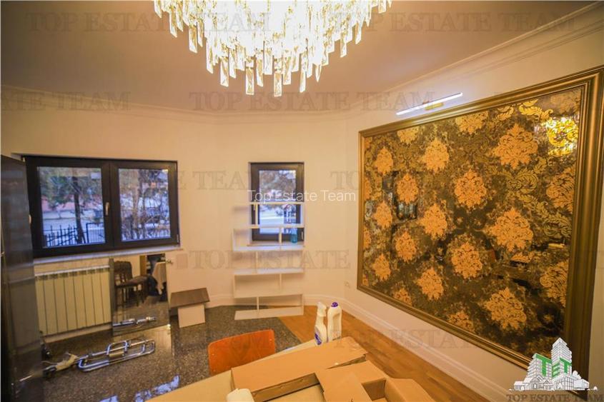 Vila pretabila rezidenta/office Iancu Nicolae - 19