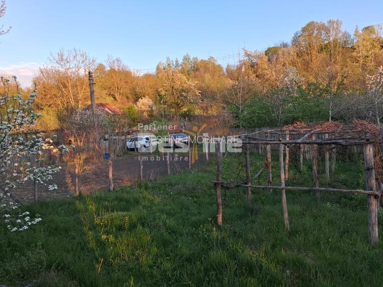 Casă bătrânească cu teren 1150 mp, vie și livadă – Șerbănești, Păușești, Vâlcea - 7
