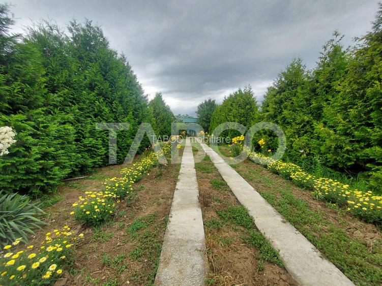 COMISION 0-Casa cu 4000 mp teren piscina zona retrasa in Casolt - 5