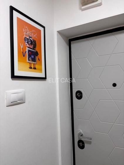 Garsoniera  MODERNA, UTILATA IN DETALIU,  etajul 3/4, zona Alexandru cel Bun - 15